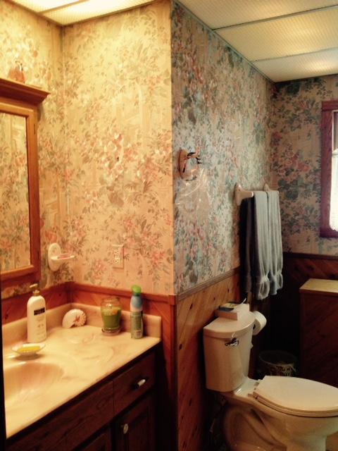 263 County Road 67 Riceville, TN 37370 - Photo 30 of 42 263 cr 67 main bath