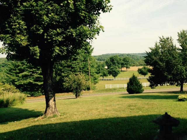 263 County Road 67 Riceville, TN 37370 - Photo 34 of 42 263 cr 67 front porch views 3