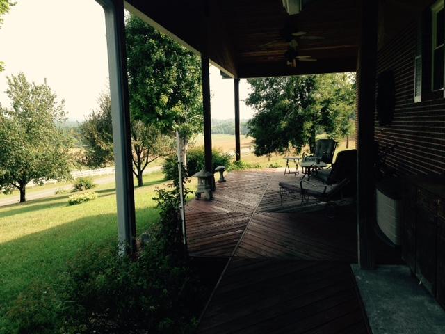 263 County Road 67 Riceville, TN 37370 - Photo 35 of 42 263 cr 67 front porch views 4
