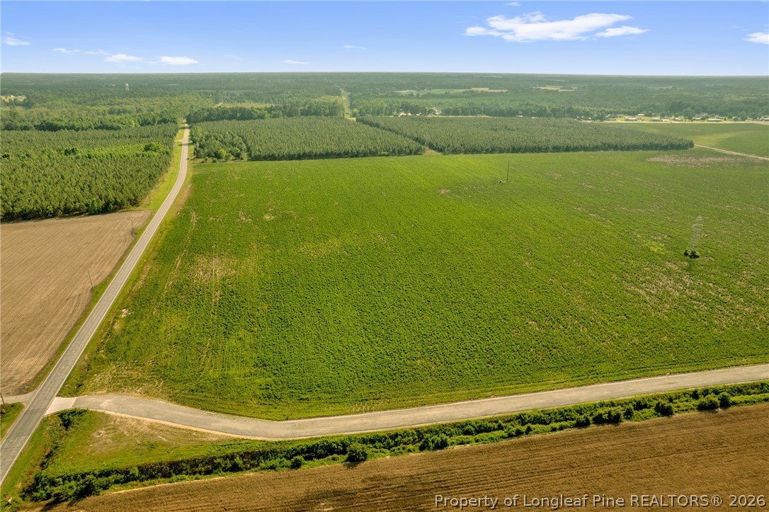 0 Old Wire (lot 11) Road Shannon, NC 28386 - Photo 10 of 17