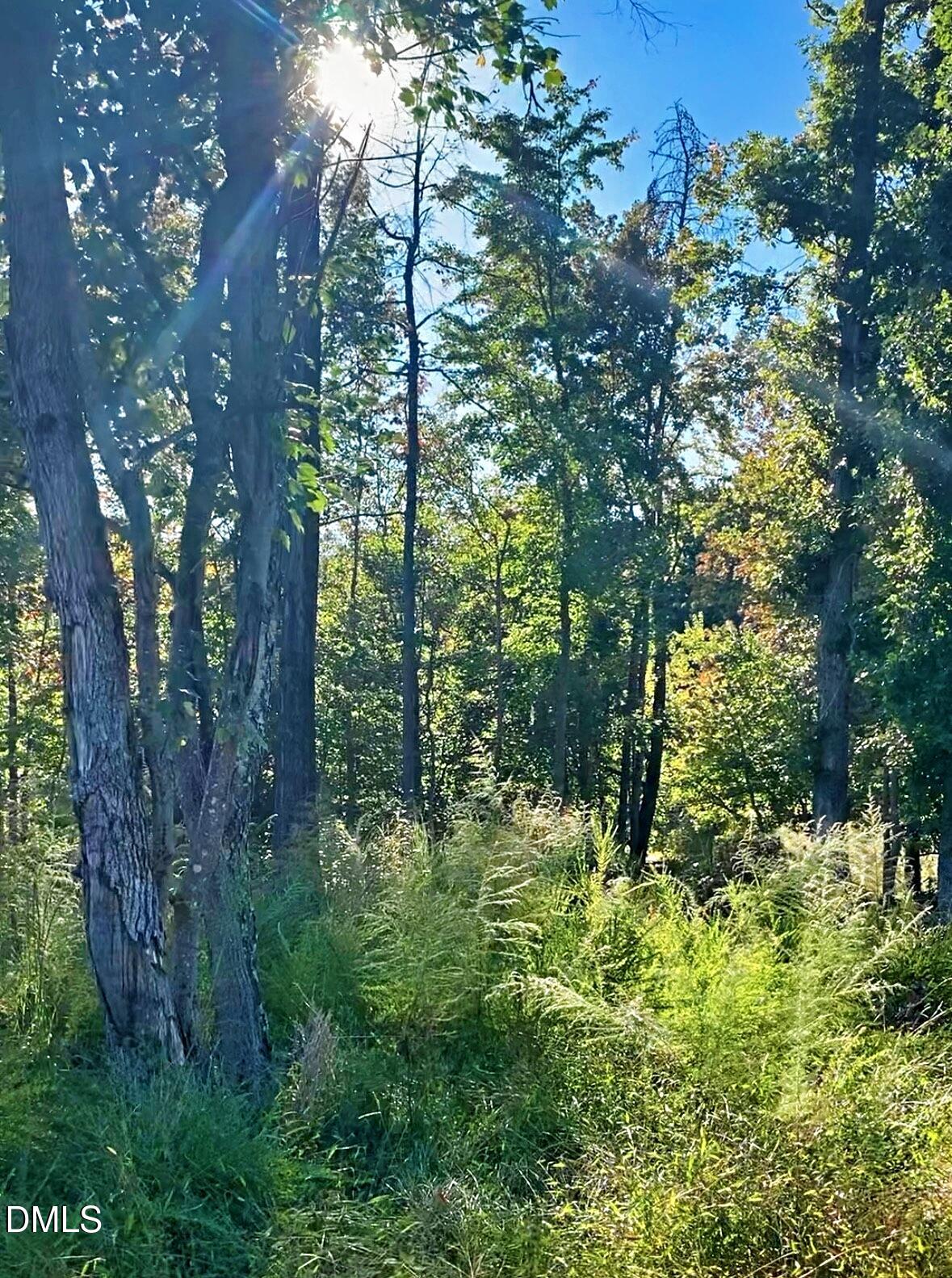 1901 Carver Drive Roxboro, NC 27574 - Photo 4 of 8 a view of a garden with plants