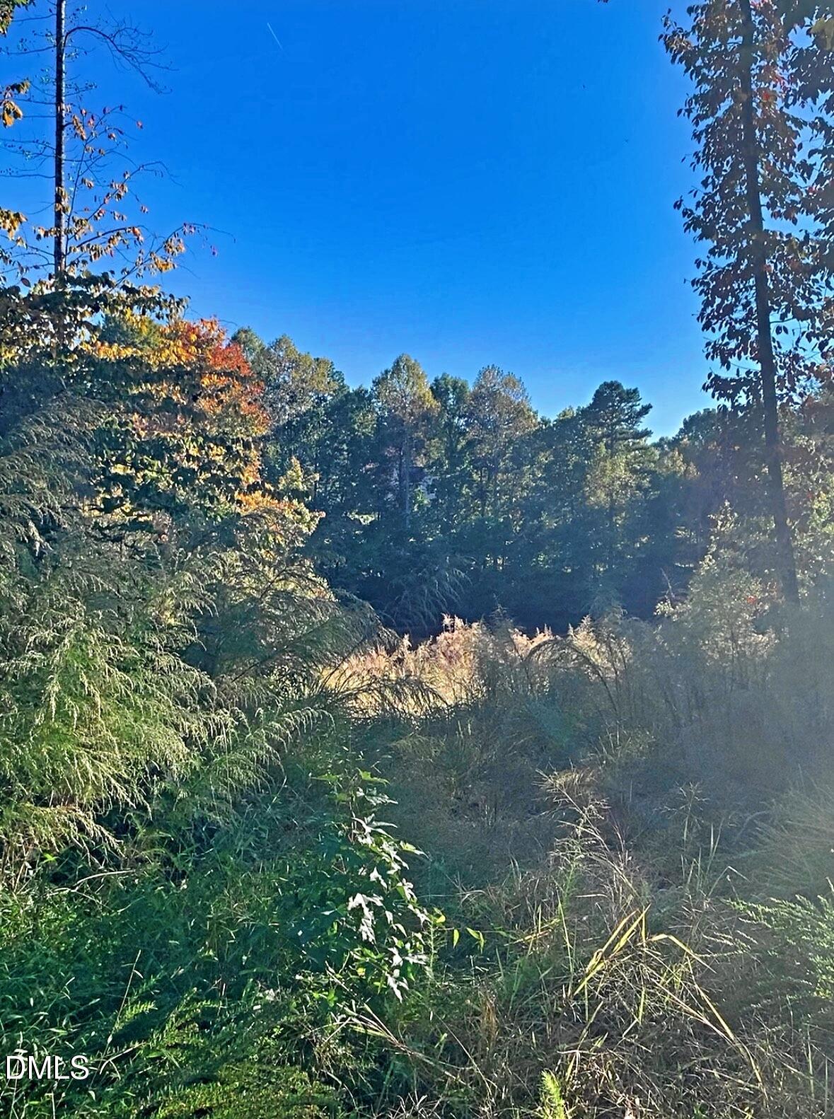 1901 Carver Drive Roxboro, NC 27574 - Photo 5 of 8 a view of a building