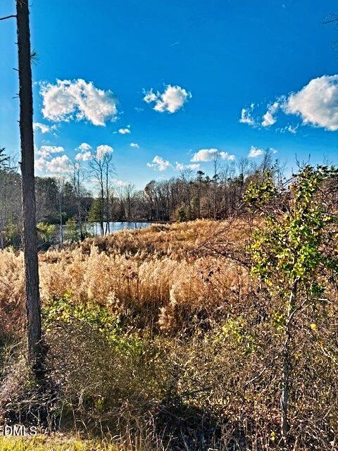 1901 Carver Drive Roxboro, NC 27574 - Photo 7 of 8 a view of a yard with a tree