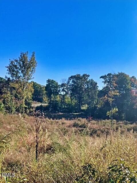 1901 Carver Drive Roxboro, NC 27574 - Photo 8 of 8 a view of a yard with a tree