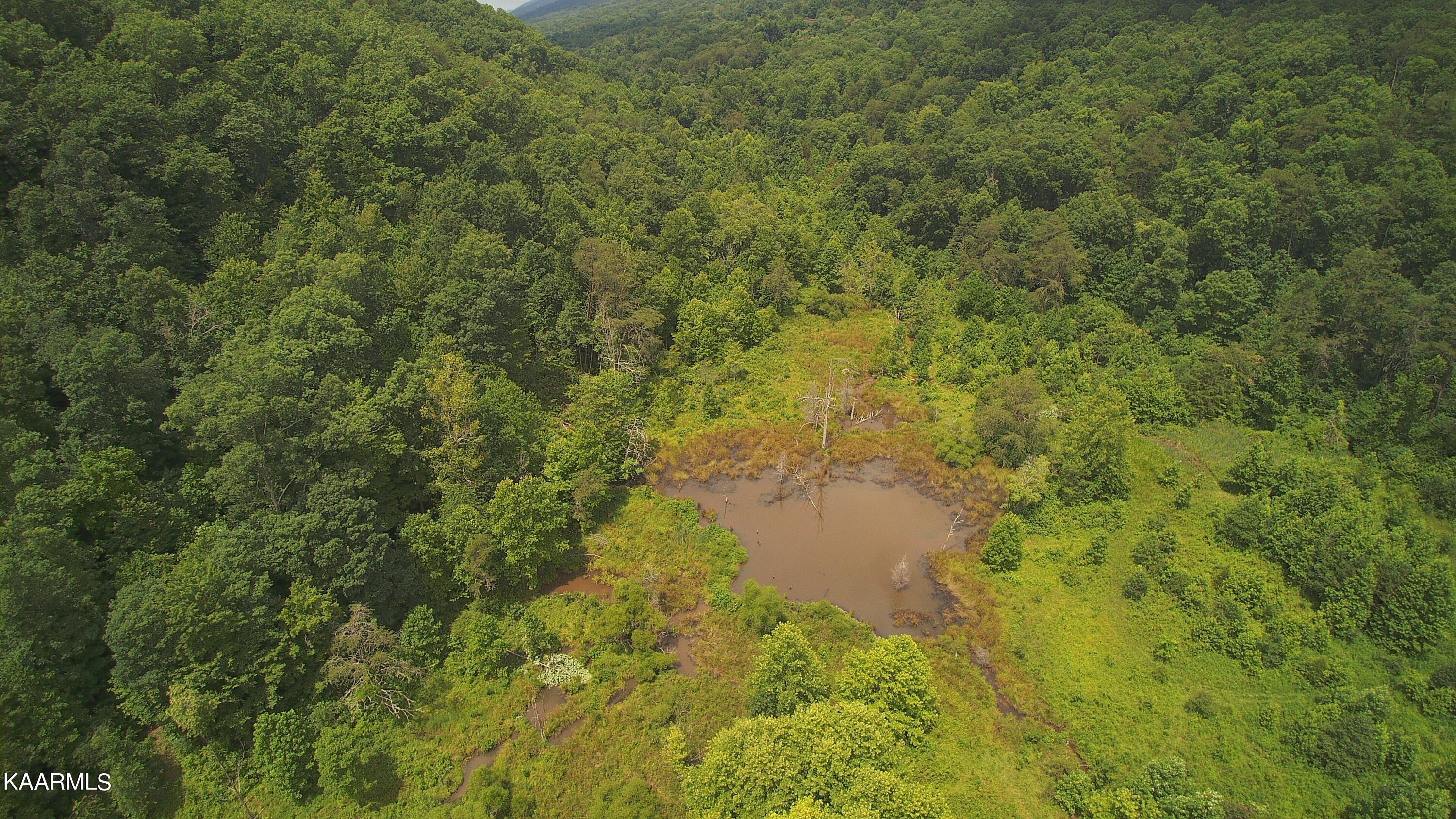 Ridgeview Road Bean Station, TN 37708 - Photo 15 of 19 YUN00177