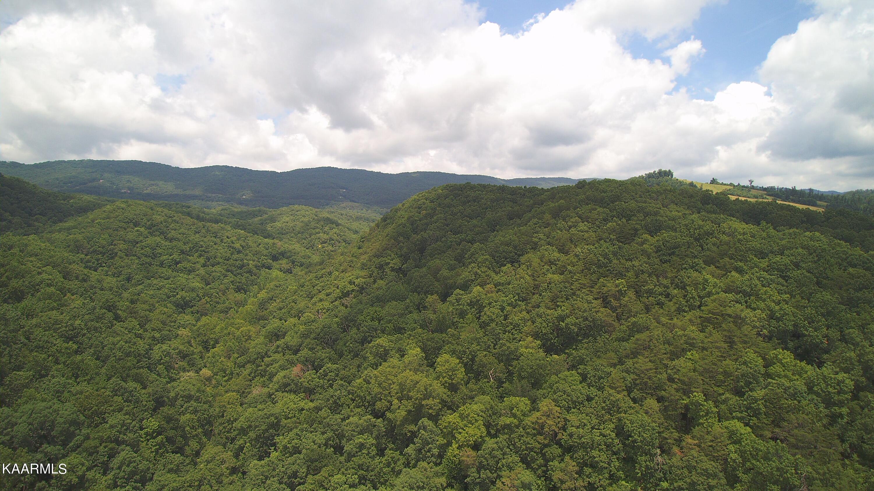Ridgeview Road Bean Station, TN 37708 - Photo 17 of 19 YUN00208