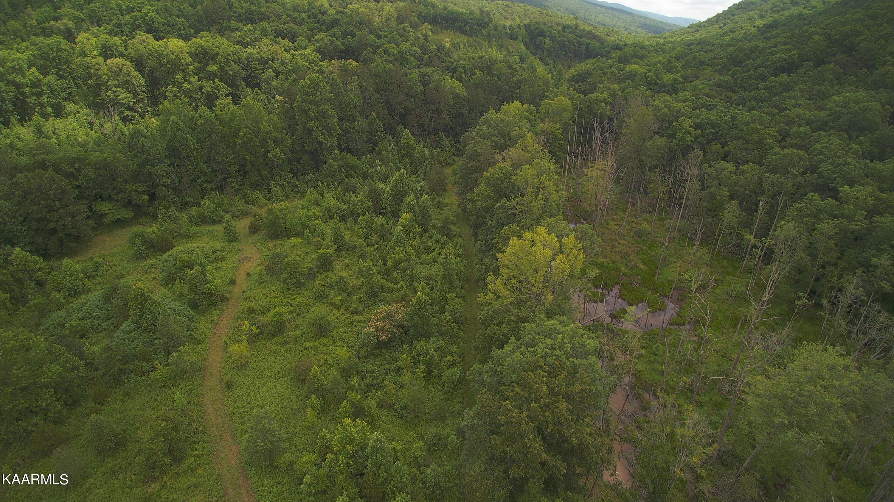 Ridgeview Road Bean Station, TN 37708 - Photo 18 of 19 YUN00166