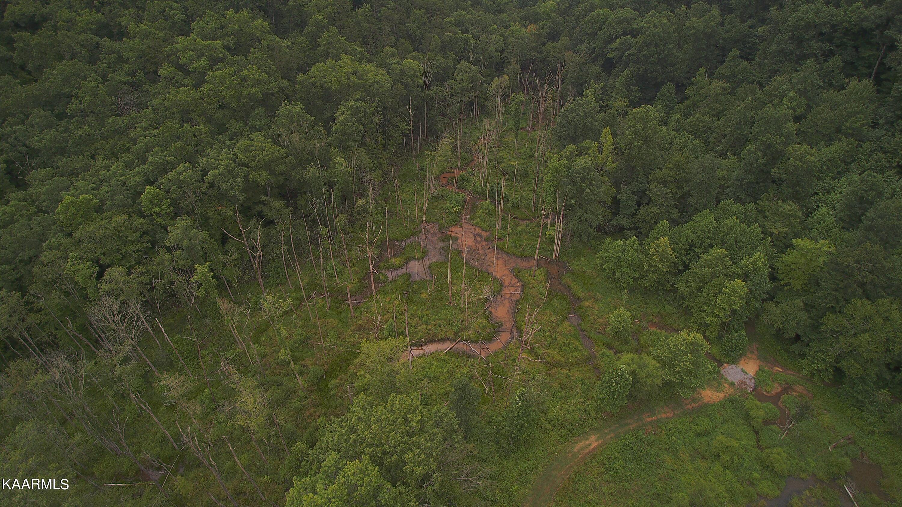 Ridgeview Road Bean Station, TN 37708 - Photo 19 of 19 YUN00172