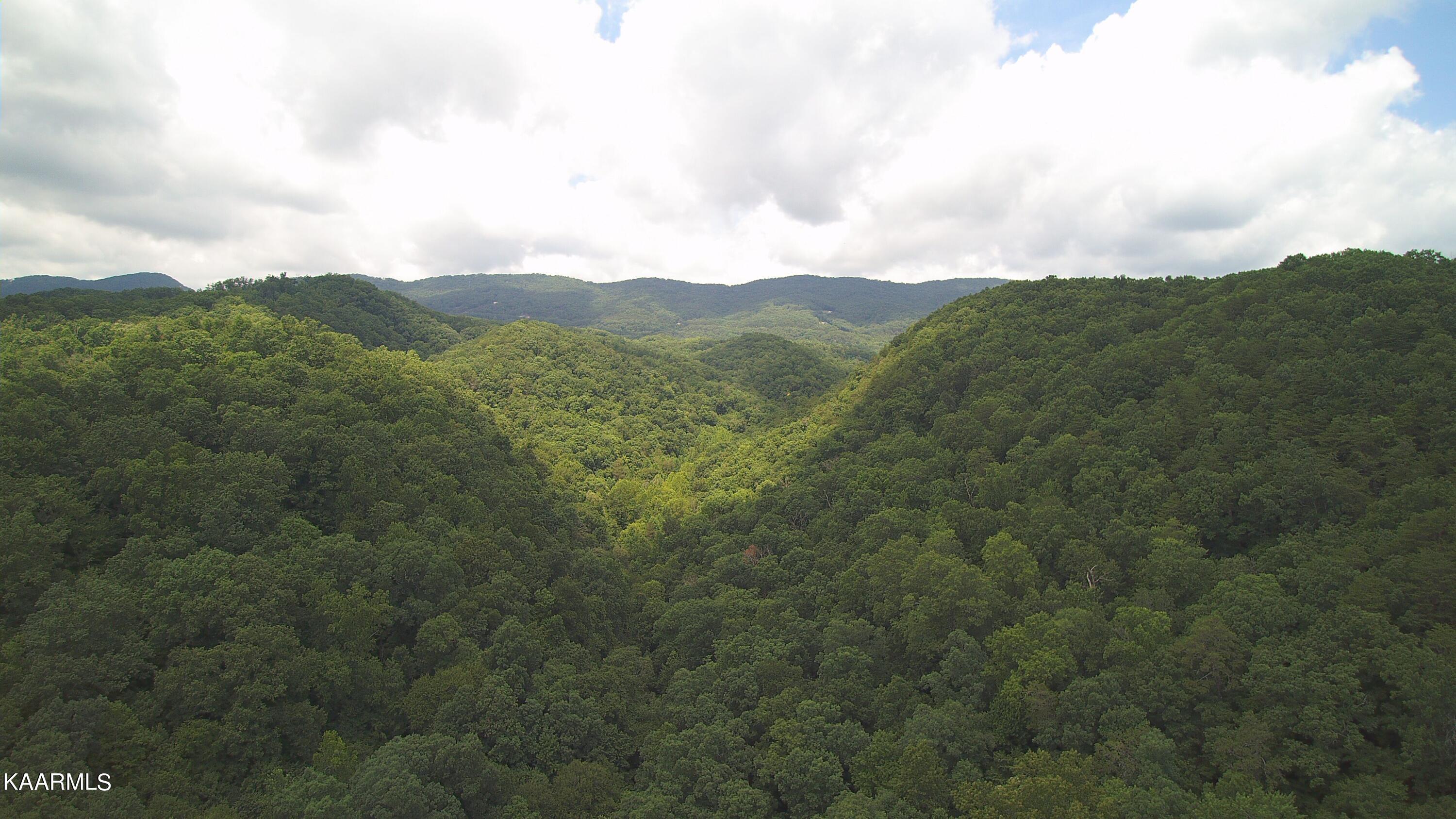 Ridgeview Road Bean Station, TN 37708 - Photo 3 of 19 YUN00193