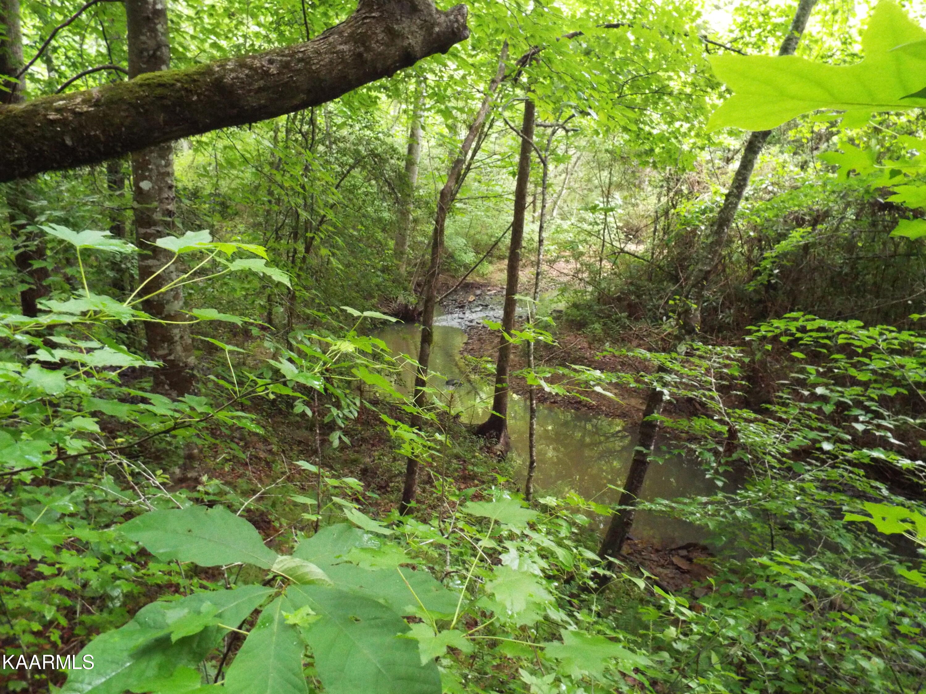 Ridgeview Road Bean Station, TN 37708 - Photo 4 of 19 DSCF4481