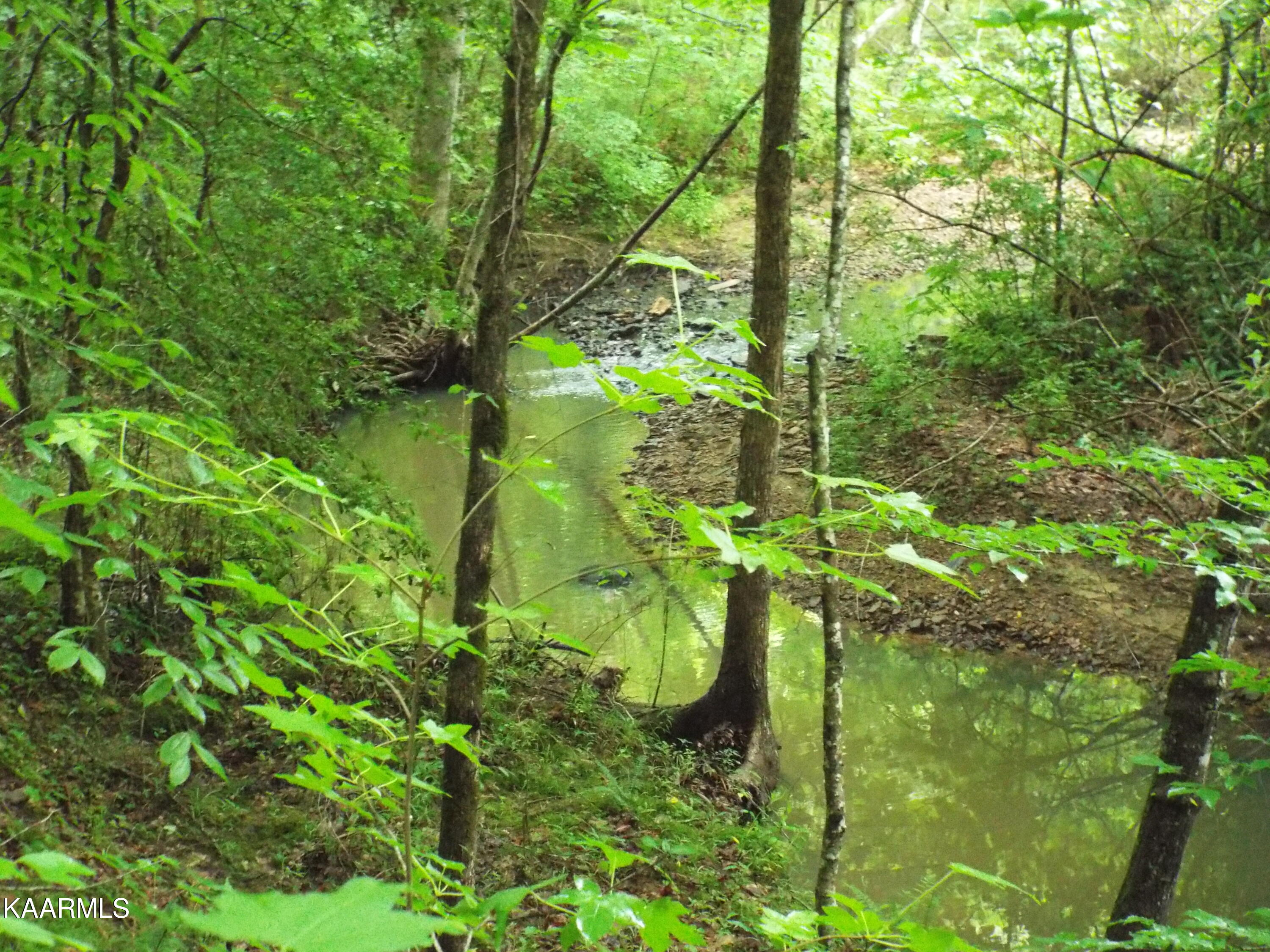 Ridgeview Road Bean Station, TN 37708 - Photo 5 of 19 DSCF4482