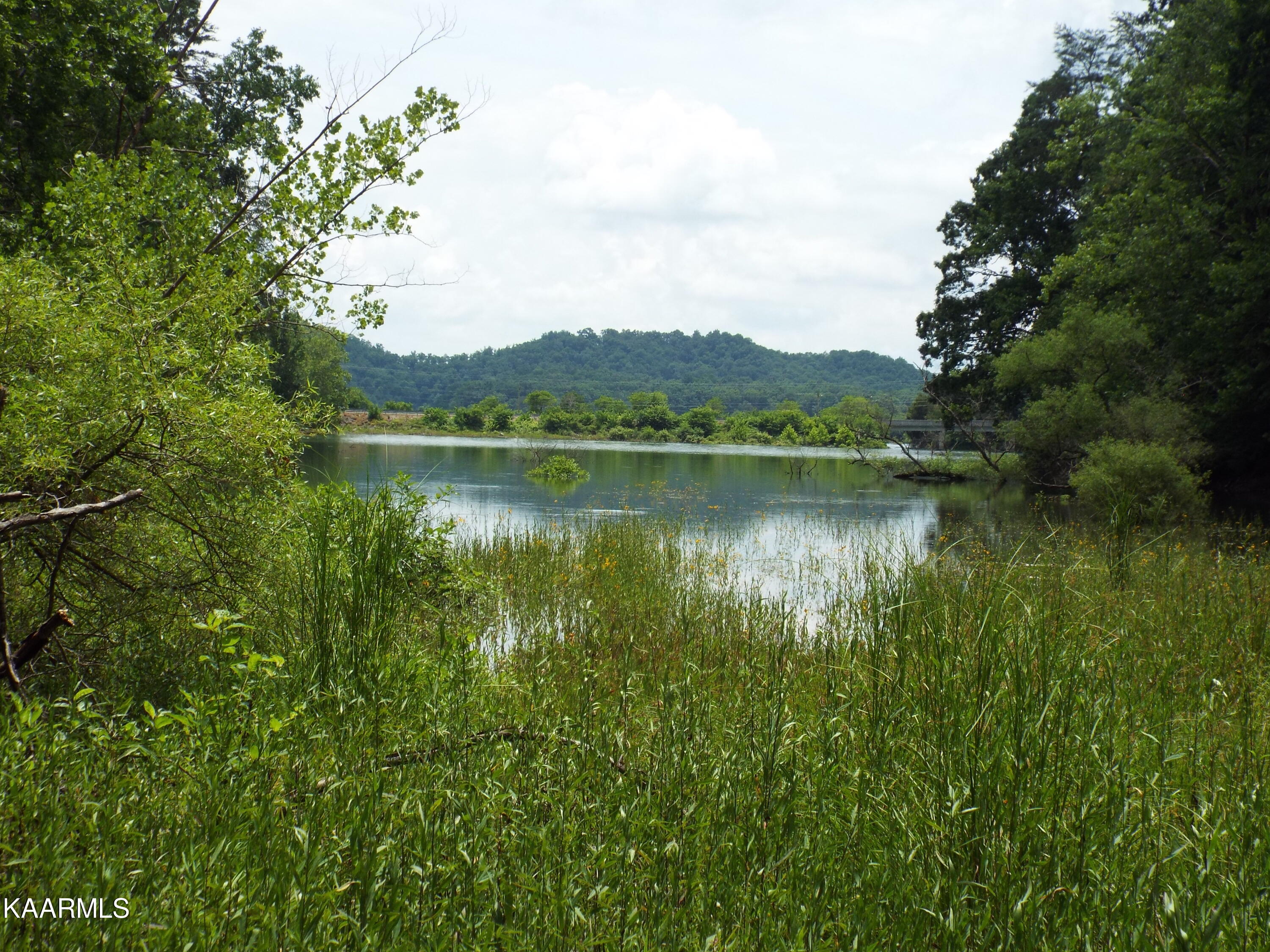 Ridgeview Road Bean Station, TN 37708 - Photo 9 of 19 DSCF4491
