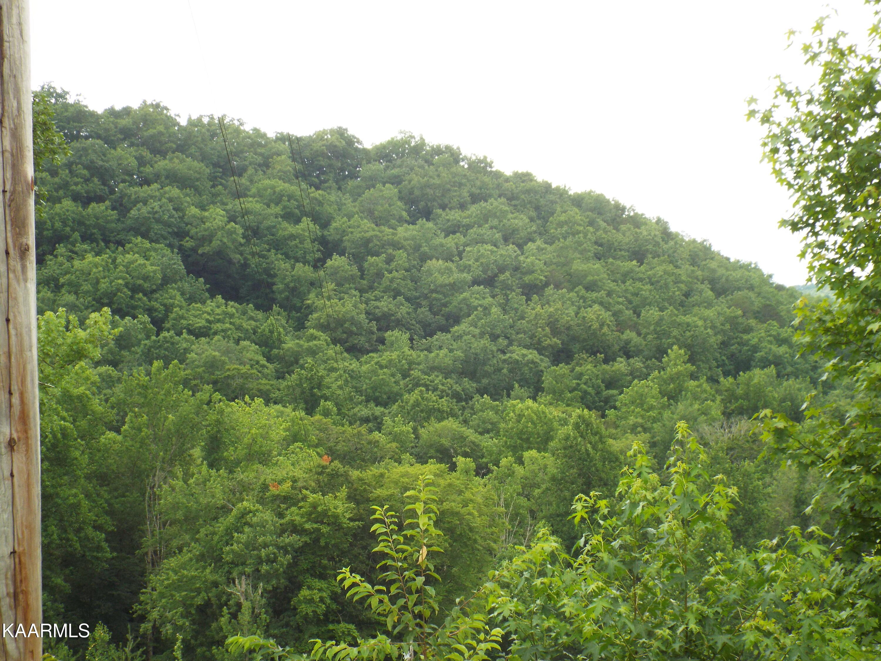 Ridgeview Road Bean Station, TN 37708 - Photo 10 of 19 DSCF4464