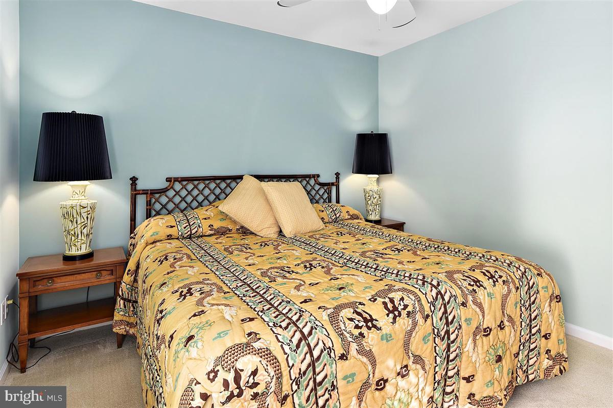 37946 Muddy Neck Road Ocean View, DE 19970 - Photo 35 of 73