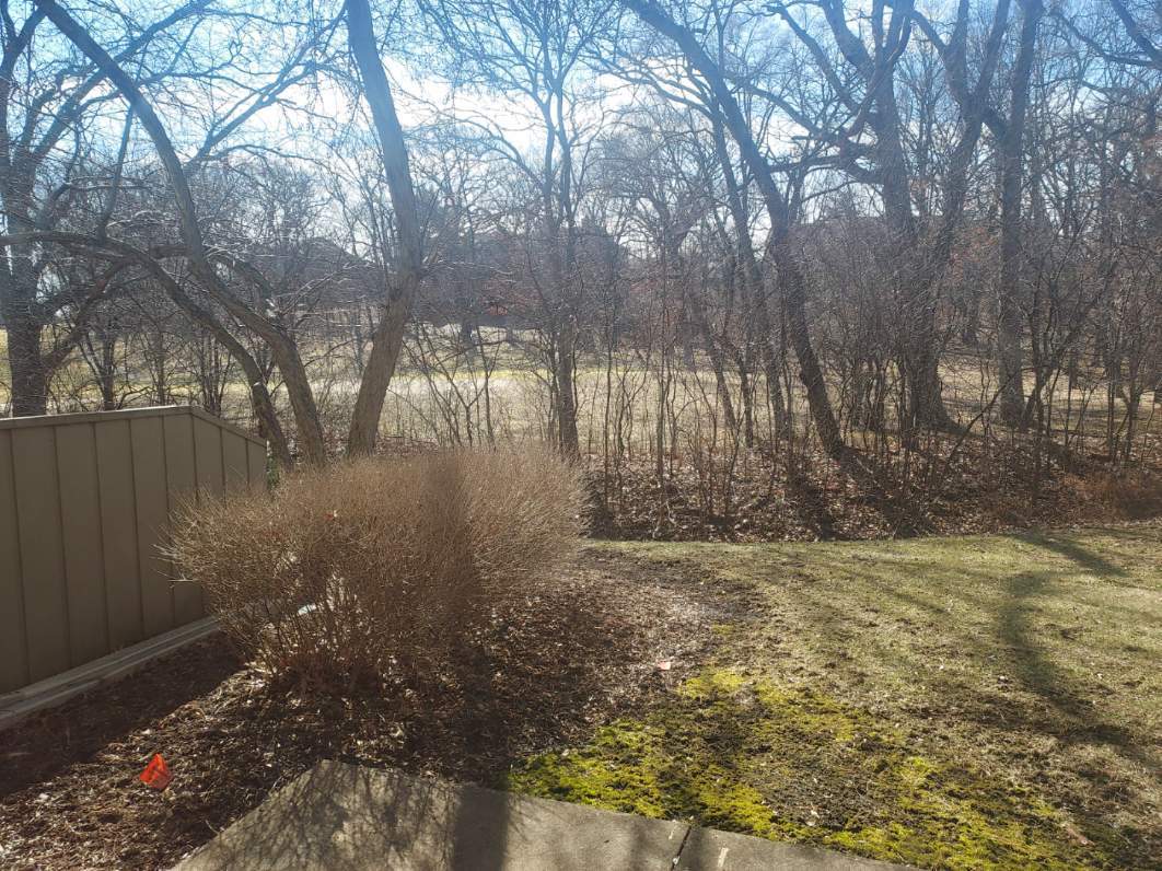 787 Oak Hill Road, Unit 467 Lake Barrington, IL 60010 - Photo 40 of 57