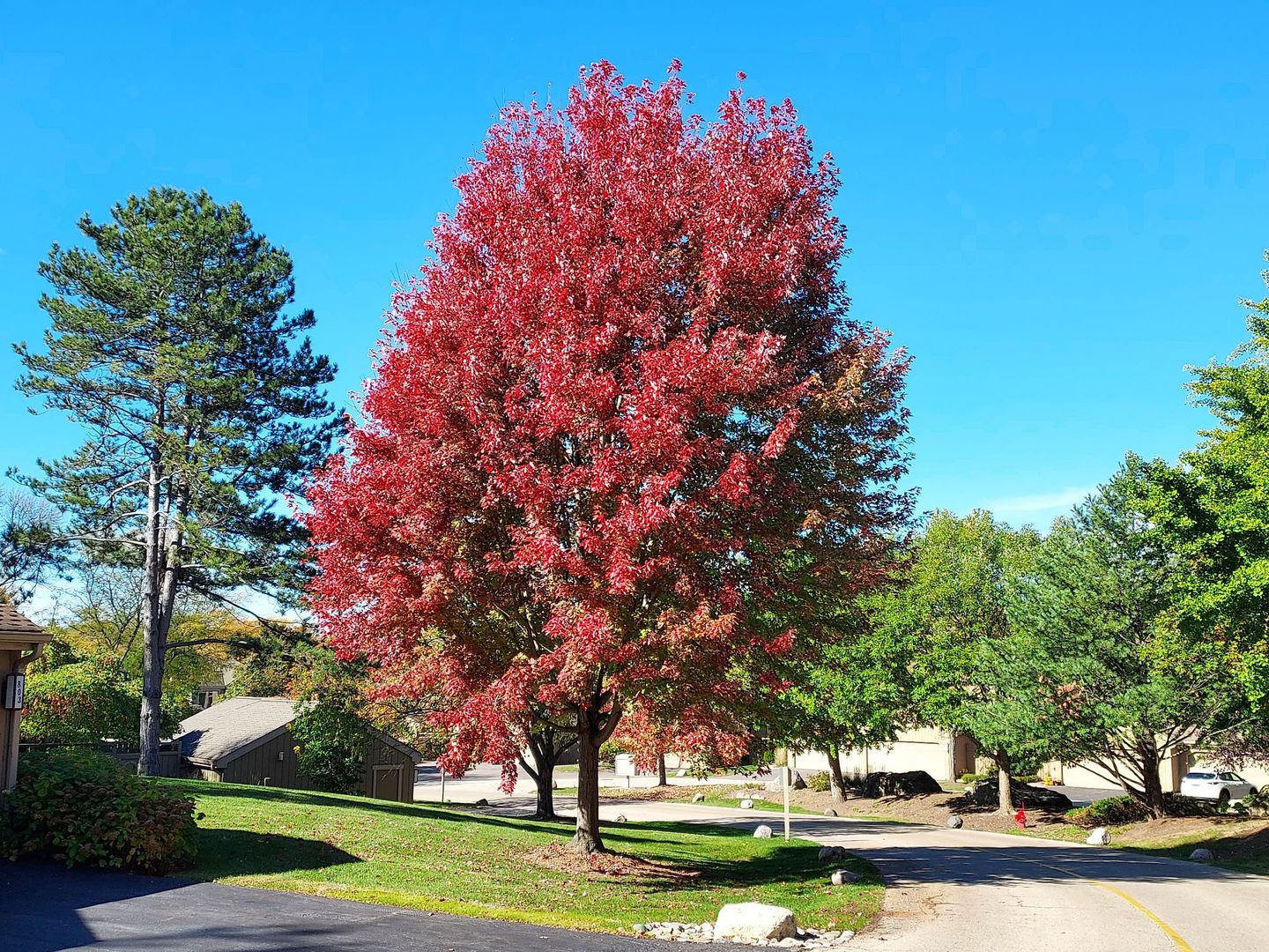 787 Oak Hill Road, Unit 467 Lake Barrington, IL 60010 - Photo 55 of 57