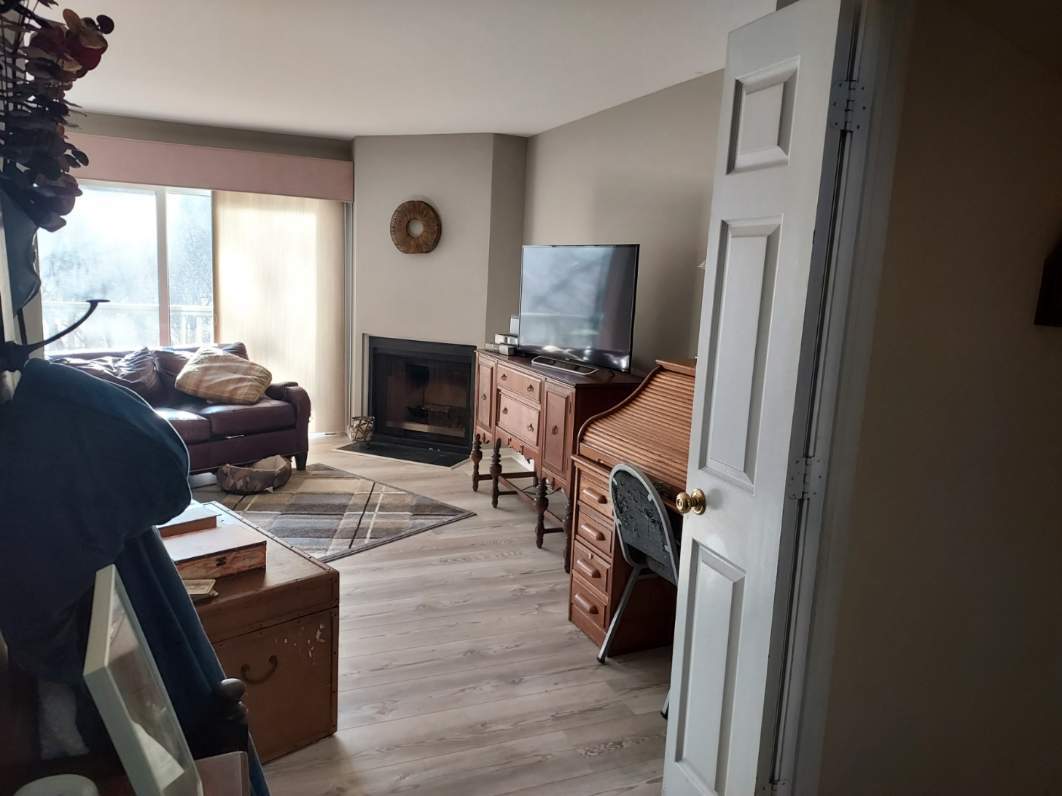 787 Oak Hill Road, Unit 467 Lake Barrington, IL 60010 - Photo 6 of 57 a living room with furniture a fireplace and a flat screen tv