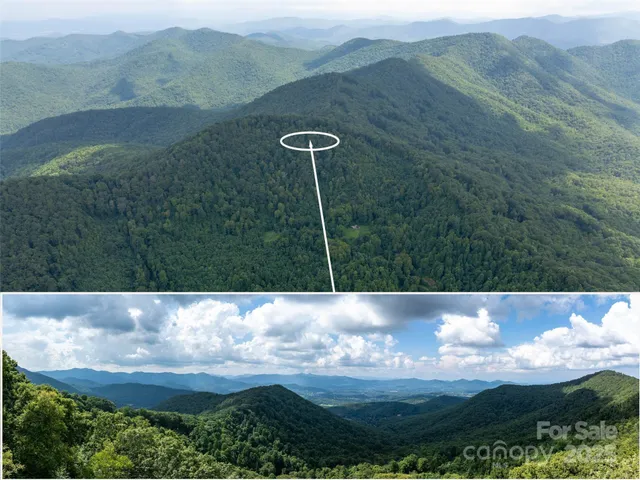 a view of a back yard