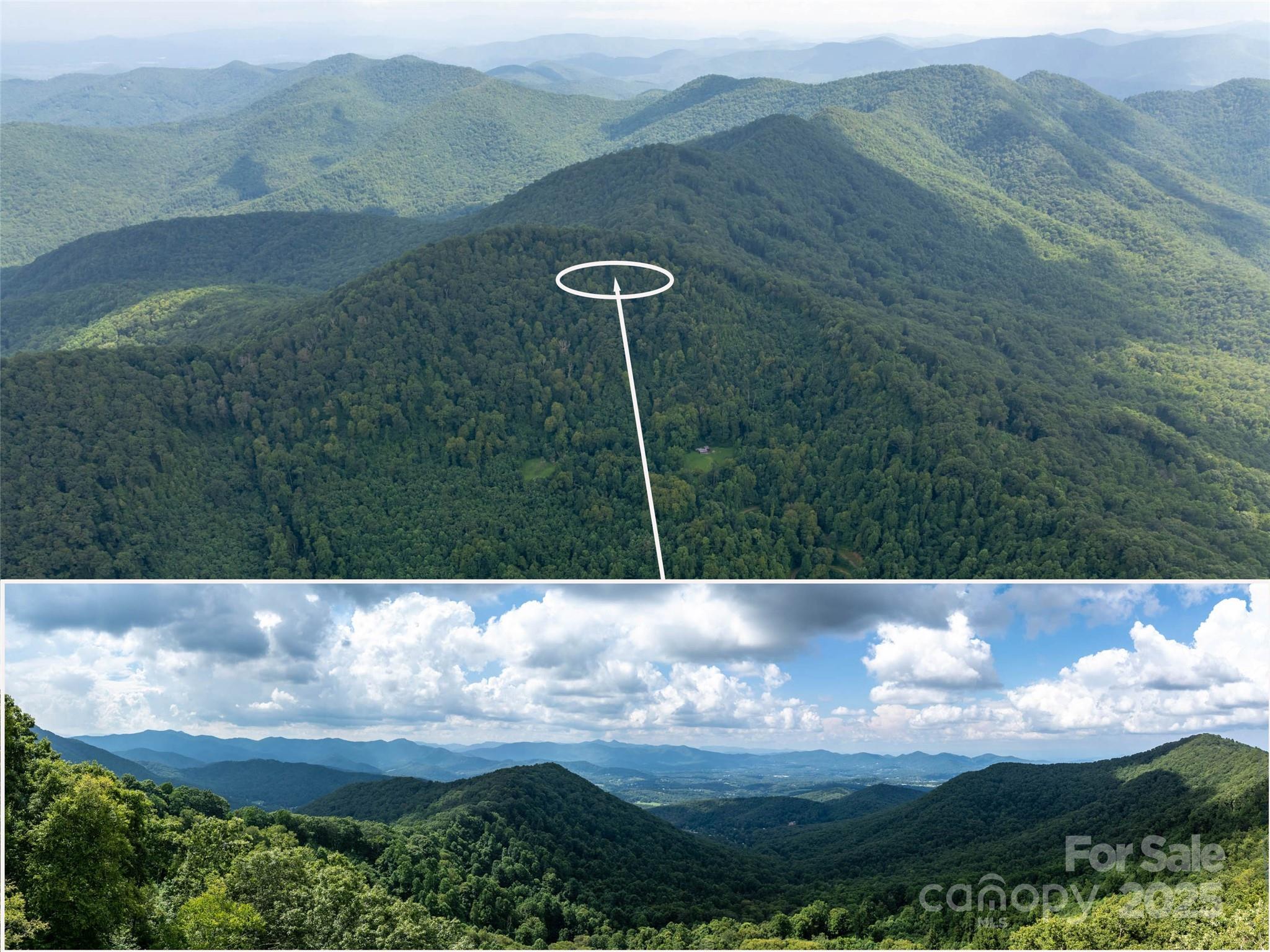 99999 Billy Cove Road Candler, NC 28715 - Photo 1 of 26 a view of a back yard