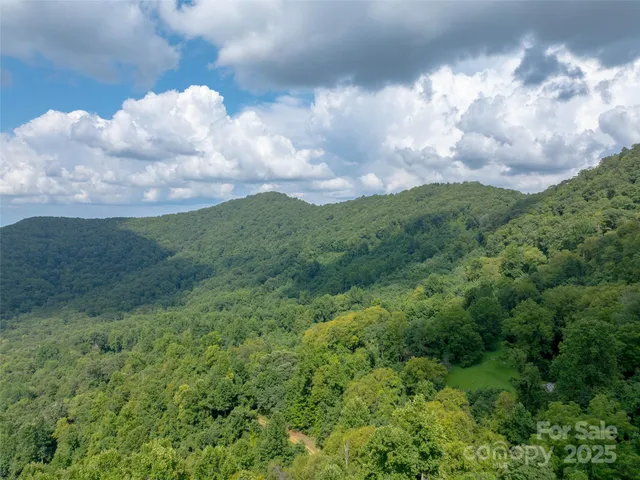 a view of a big yard with lots of green space