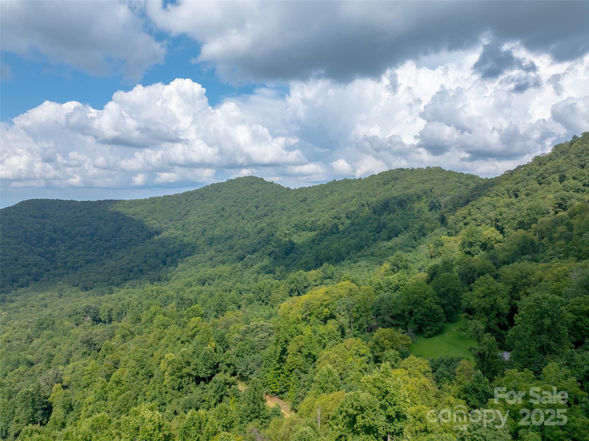 99999 Billy Cove Road Candler, NC 28715 - Photo 11 of 26 a view of a big yard with lots of green space