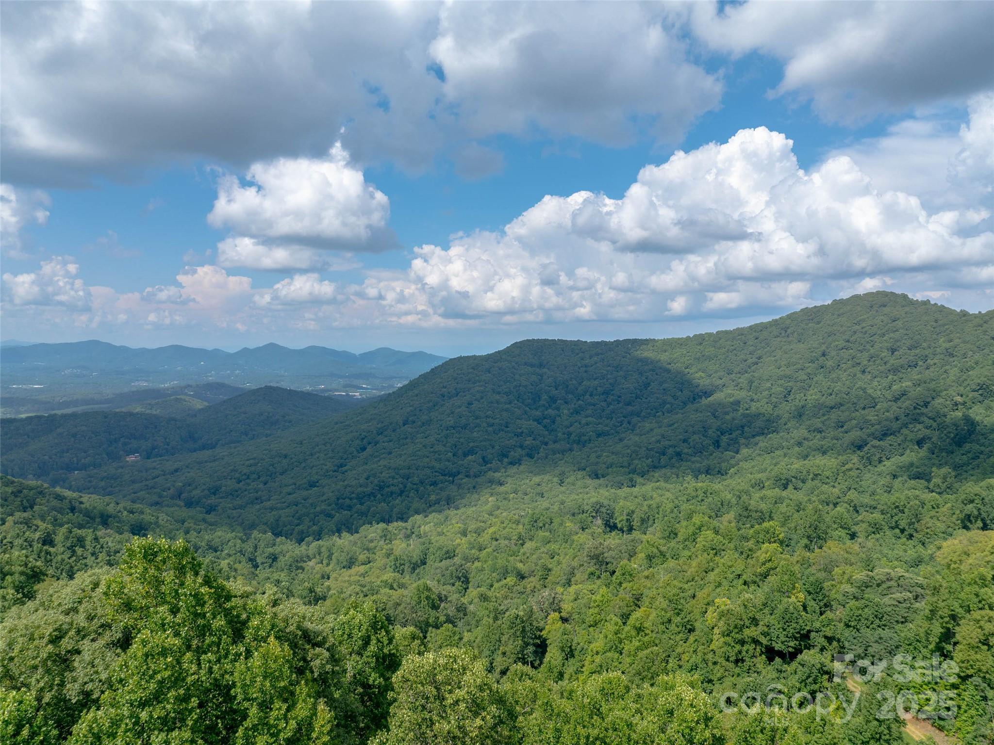 99999 Billy Cove Road Candler, NC 28715 - Photo 12 of 26 a view of a big yard with lots of green space