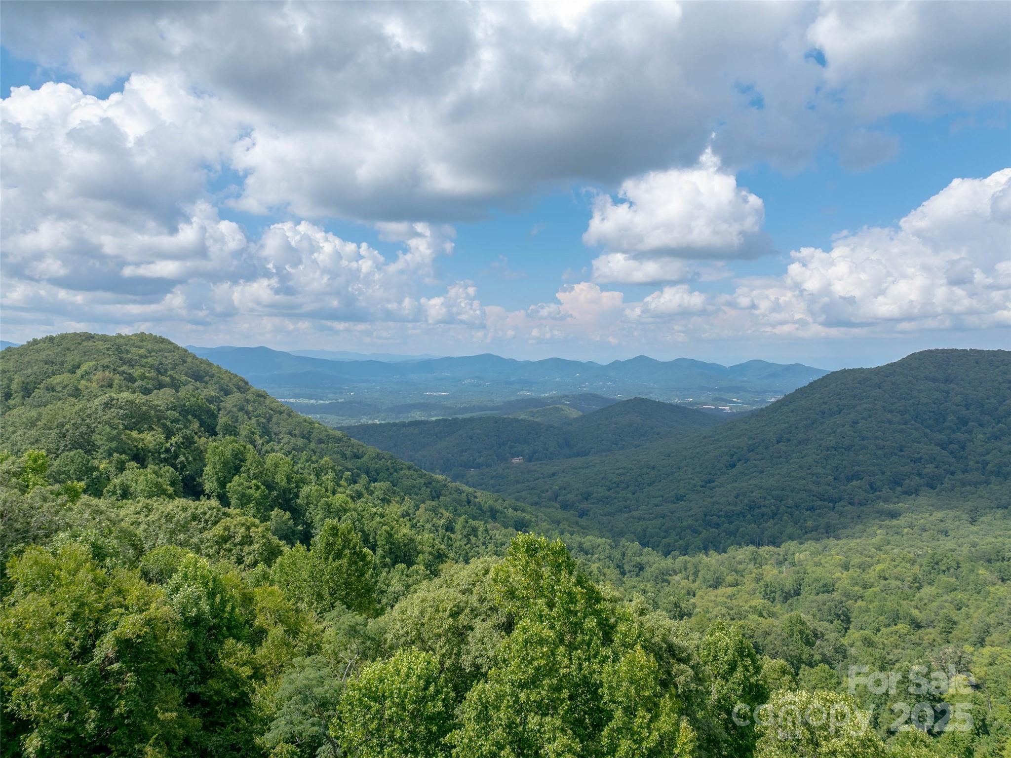 99999 Billy Cove Road Candler, NC 28715 - Photo 13 of 26 a view of a big yard with lots of green space
