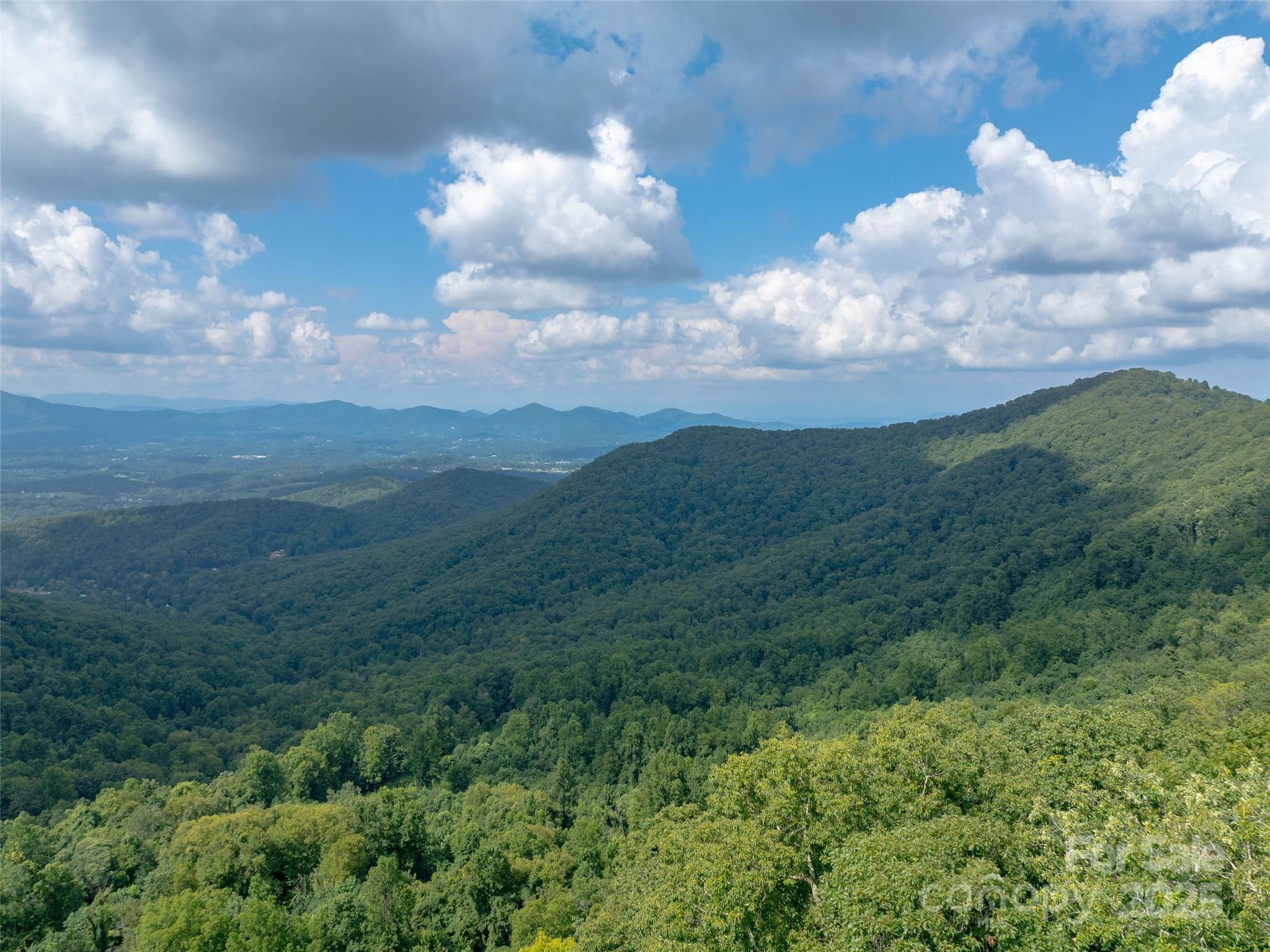 99999 Billy Cove Road Candler, NC 28715 - Photo 14 of 26 a view of a bunch of trees in background