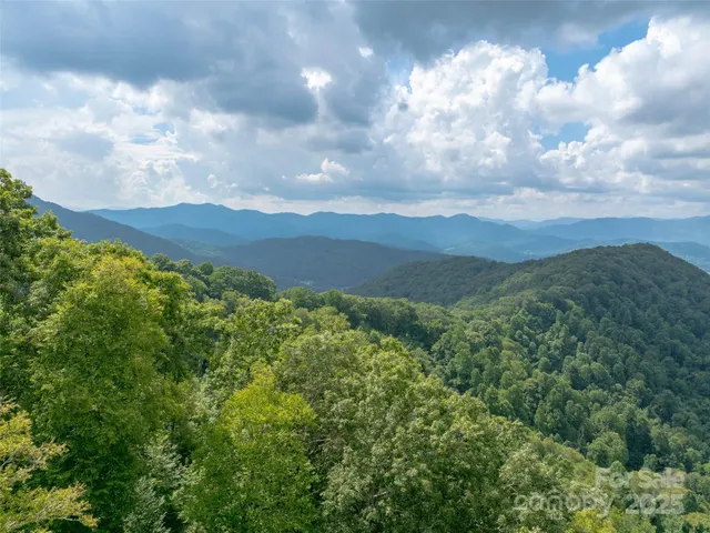 a view of a green field with lots of bushes