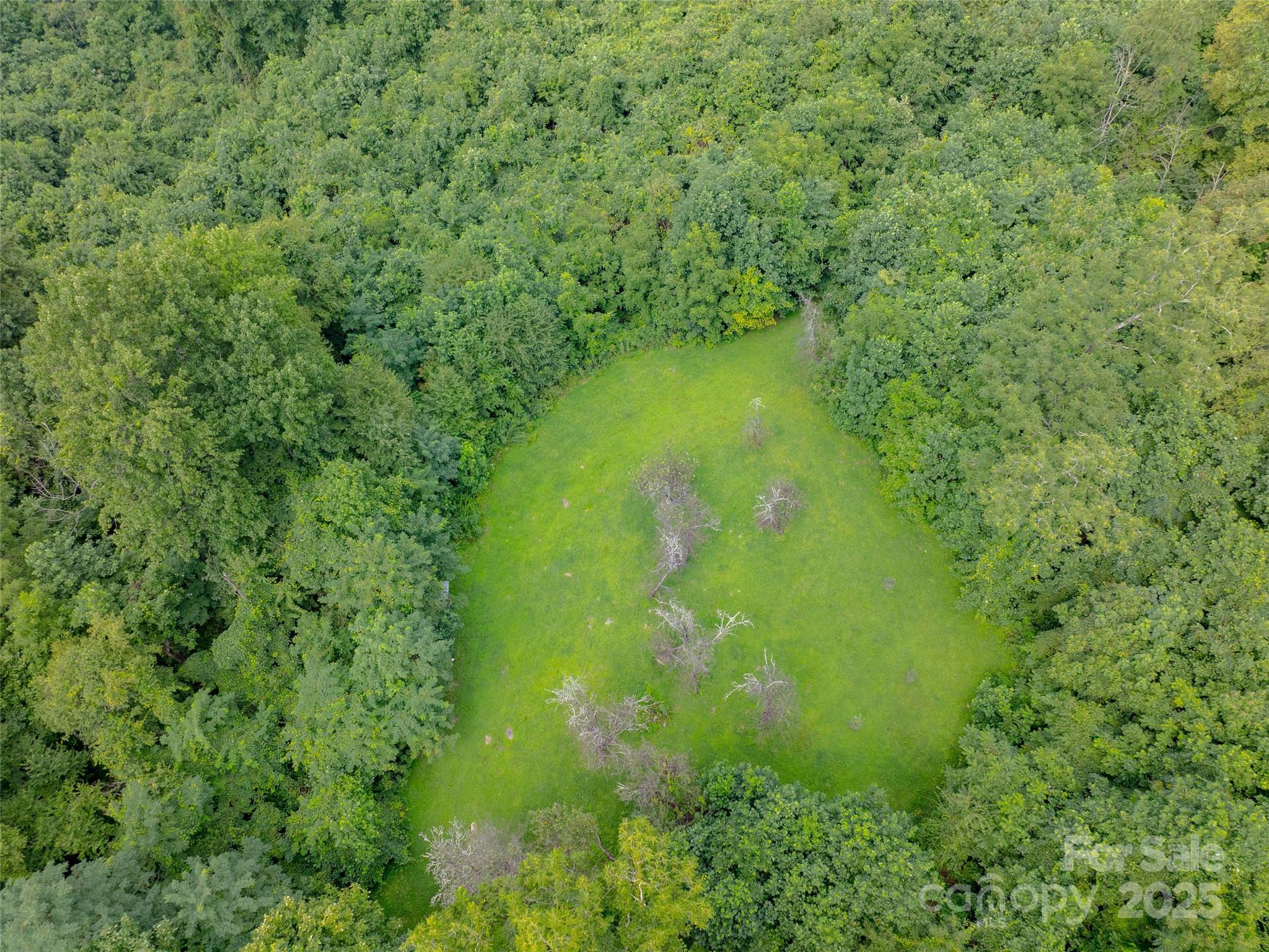 99999 Billy Cove Road Candler, NC 28715 - Photo 18 of 26 a view of a garden