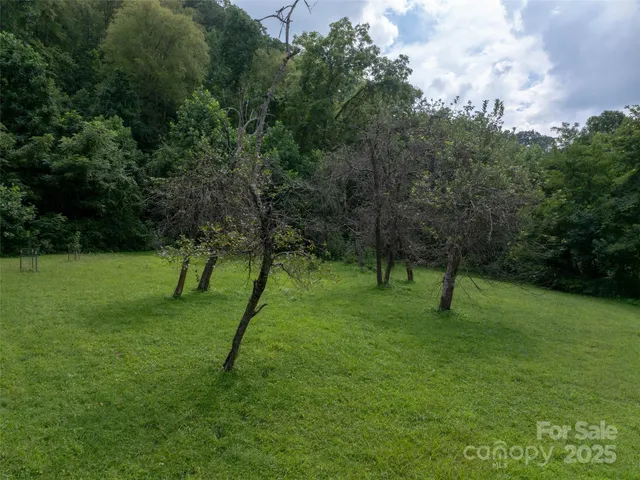 a view of an outdoor space