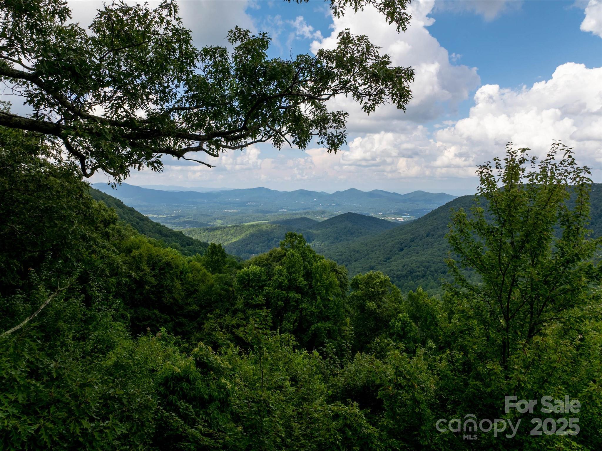 99999 Billy Cove Road Candler, NC 28715 - Photo 21 of 26 a view of a green field with lots of bushes