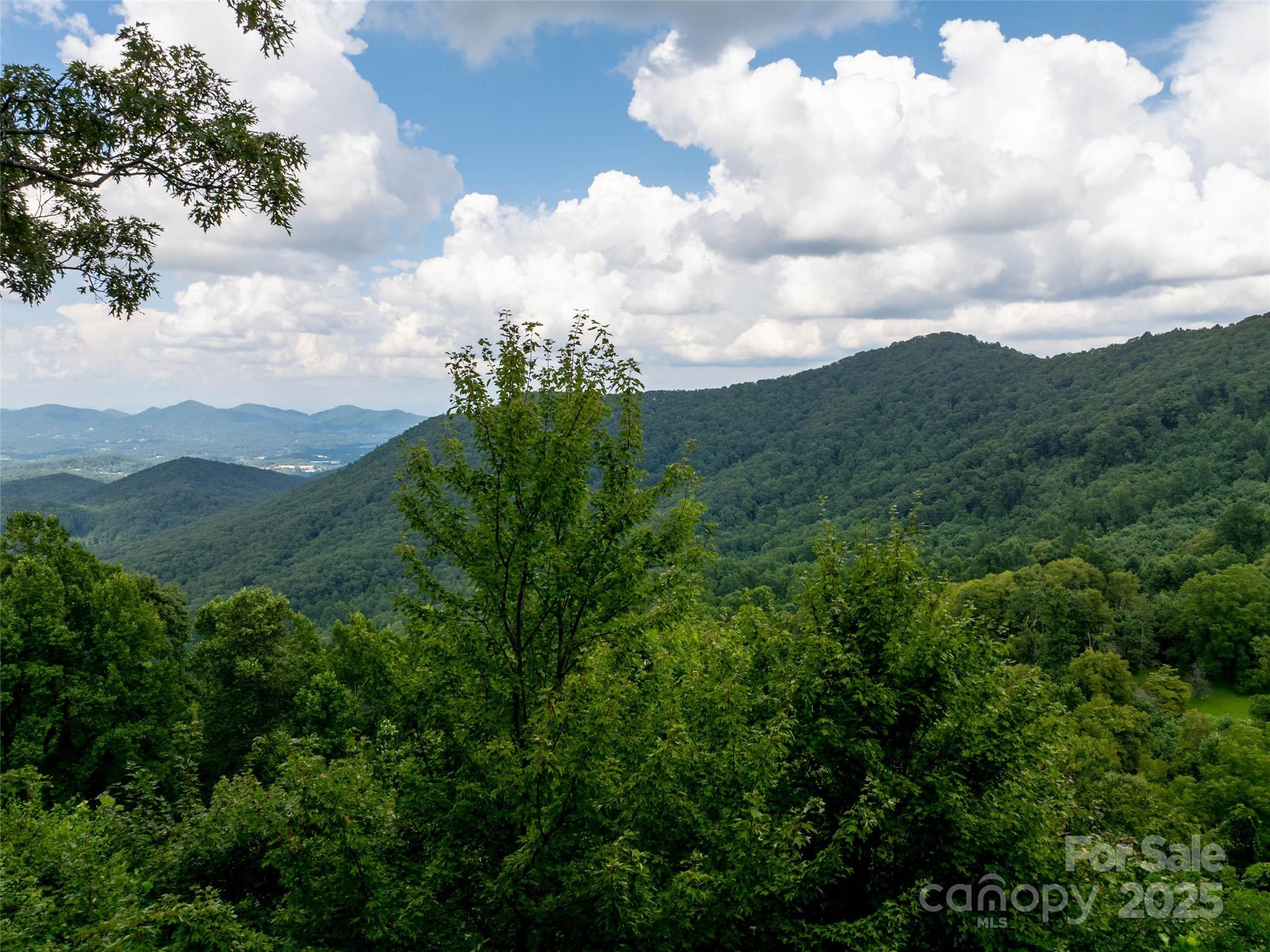 99999 Billy Cove Road Candler, NC 28715 - Photo 22 of 26 a view of a lot of trees in the background