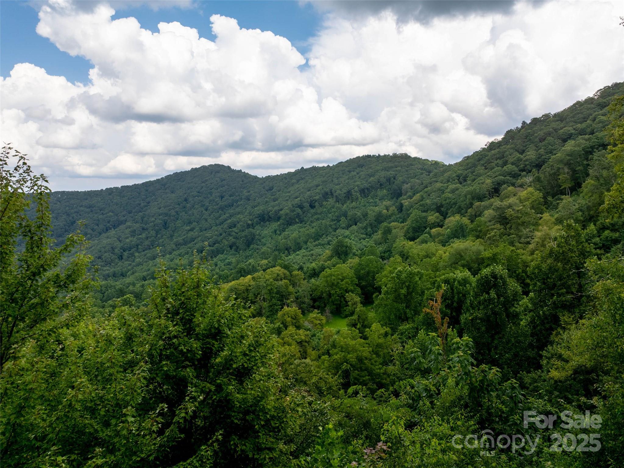 99999 Billy Cove Road Candler, NC 28715 - Photo 23 of 26 a view of a lot of trees in a field
