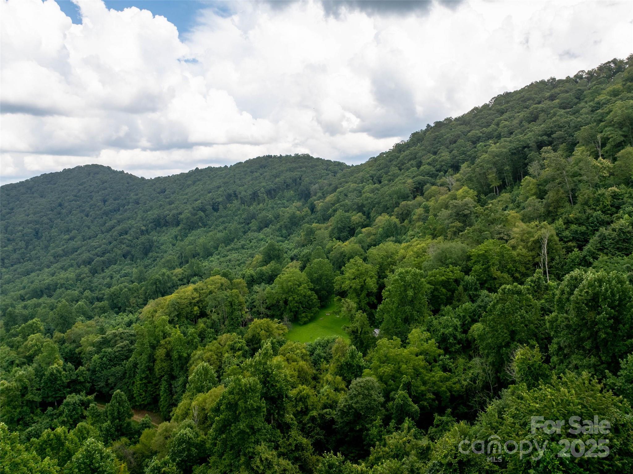 99999 Billy Cove Road Candler, NC 28715 - Photo 24 of 26 a view of a city and mountains
