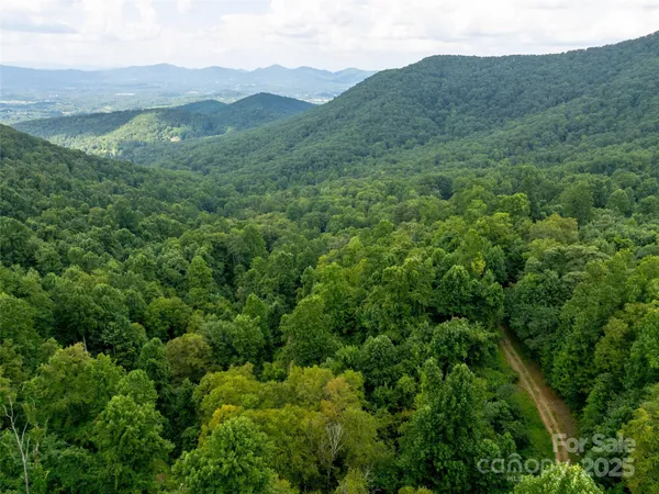 a view of a lush green hillside and houses