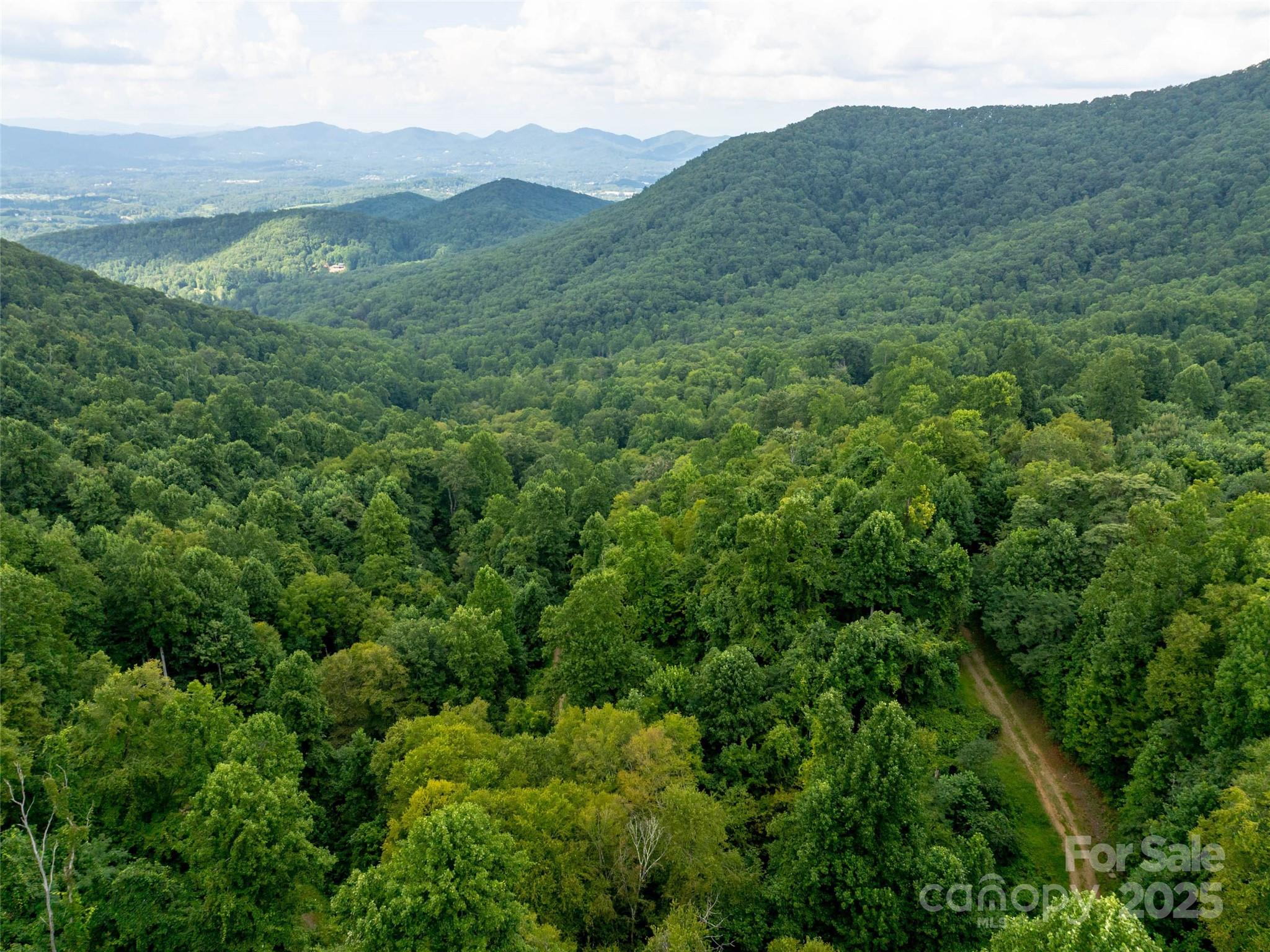 99999 Billy Cove Road Candler, NC 28715 - Photo 25 of 26 a view of a lush green hillside and houses