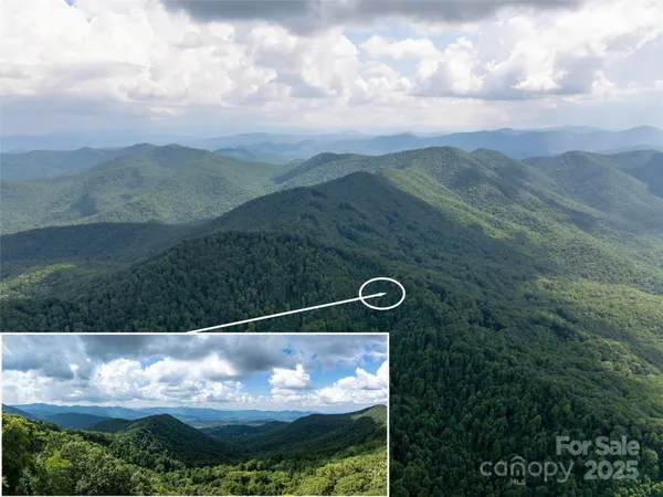 a view of a back yard