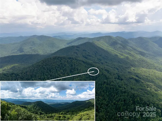 a view of a back yard