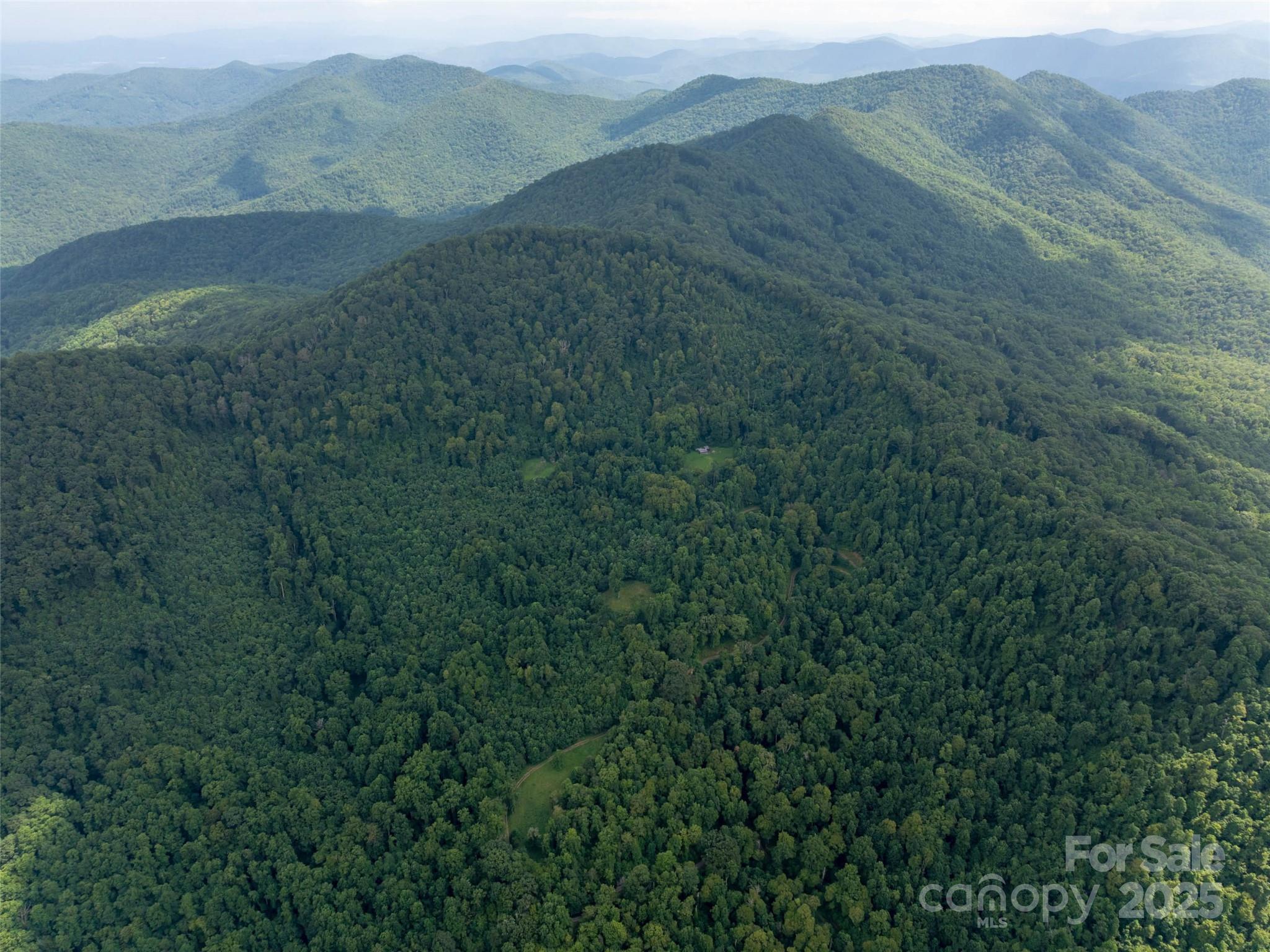 99999 Billy Cove Road Candler, NC 28715 - Photo 4 of 26 a view of an outdoor space and a mountain view
