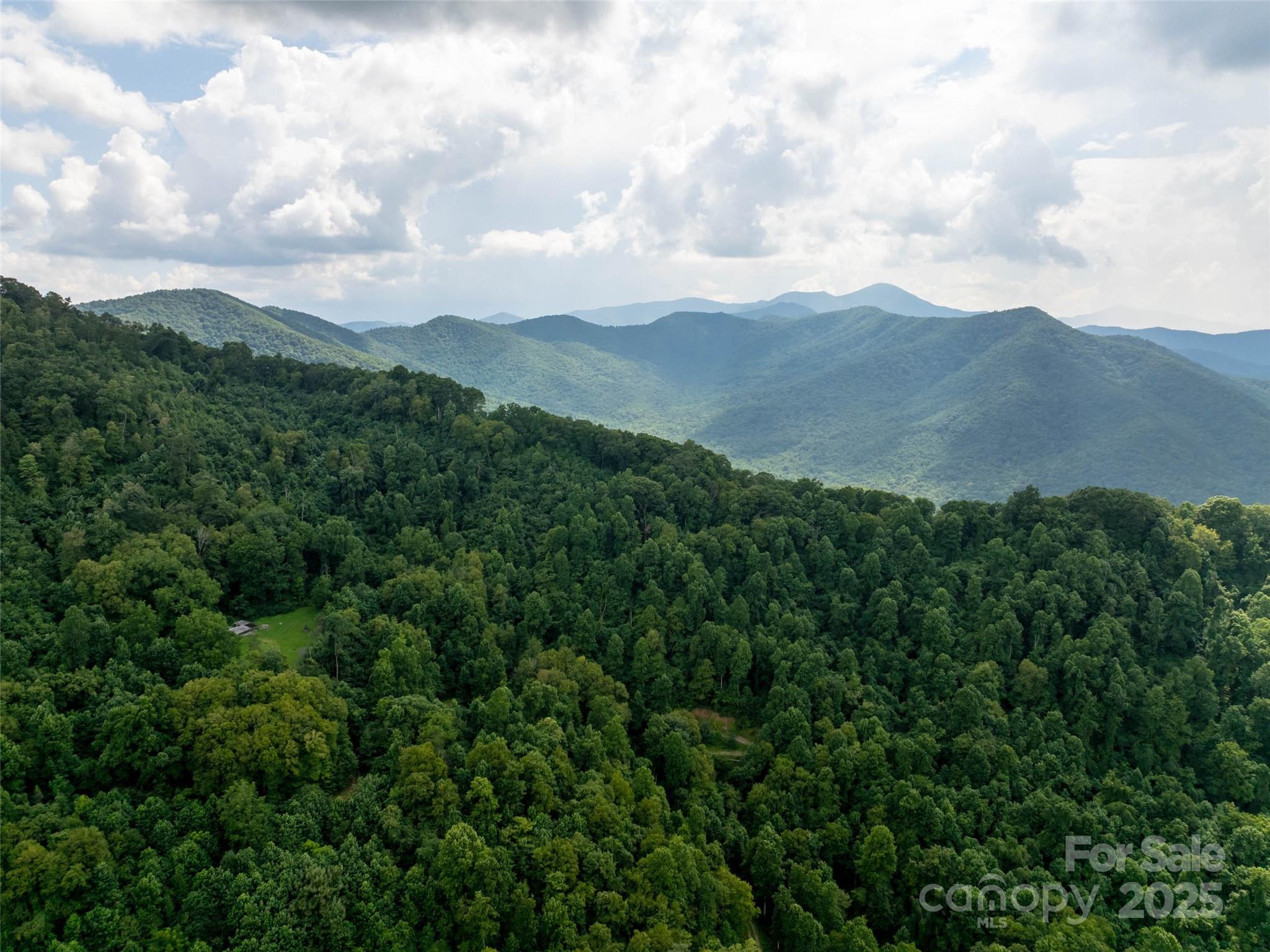 99999 Billy Cove Road Candler, NC 28715 - Photo 5 of 26 a view of a city and mountains
