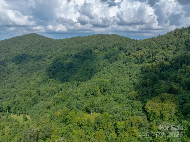 a view of a city with lush green forest