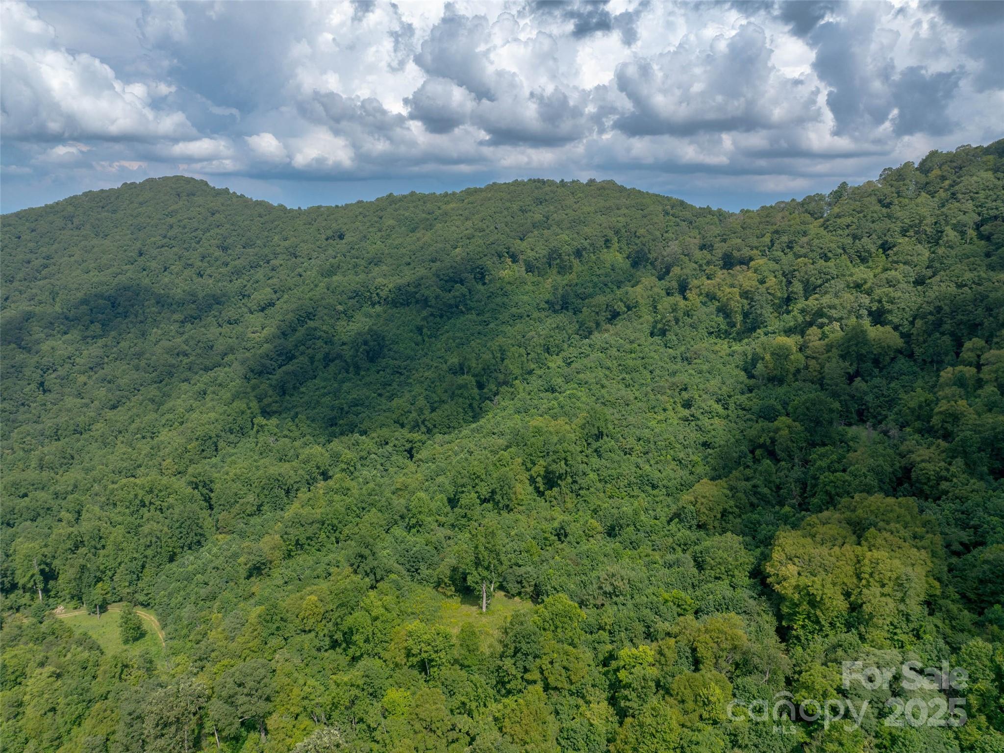 99999 Billy Cove Road Candler, NC 28715 - Photo 8 of 26 a view of a city with lush green forest