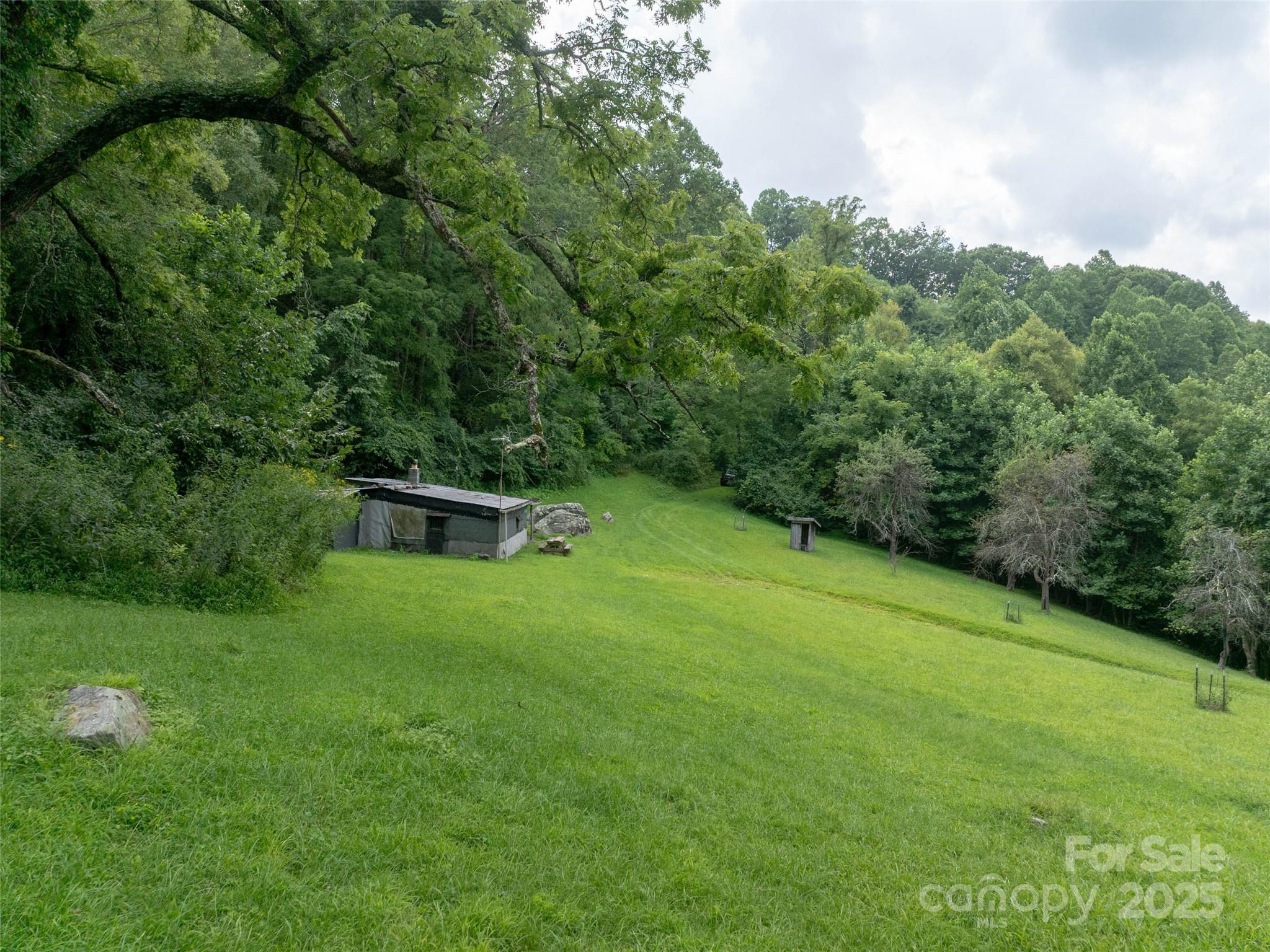 99999 Billy Cove Road Candler, NC 28715 - Photo 10 of 26 a front view of a house with a yard