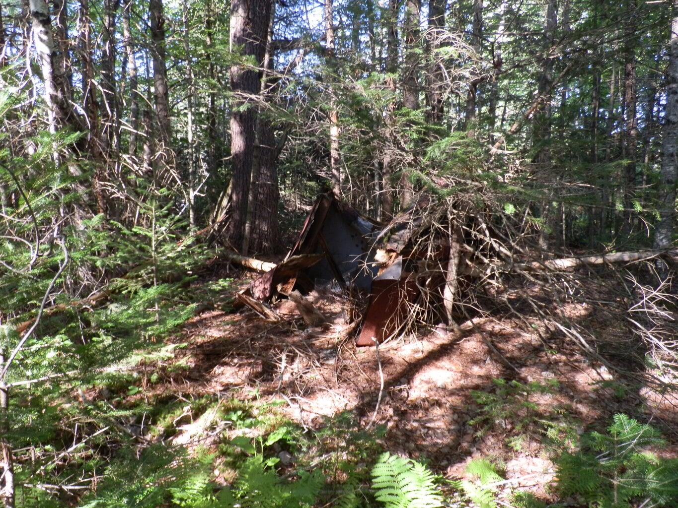 0 Cross Road Greenbush, ME 04418 - Photo 18 of 25 20190826190943163845000000-o