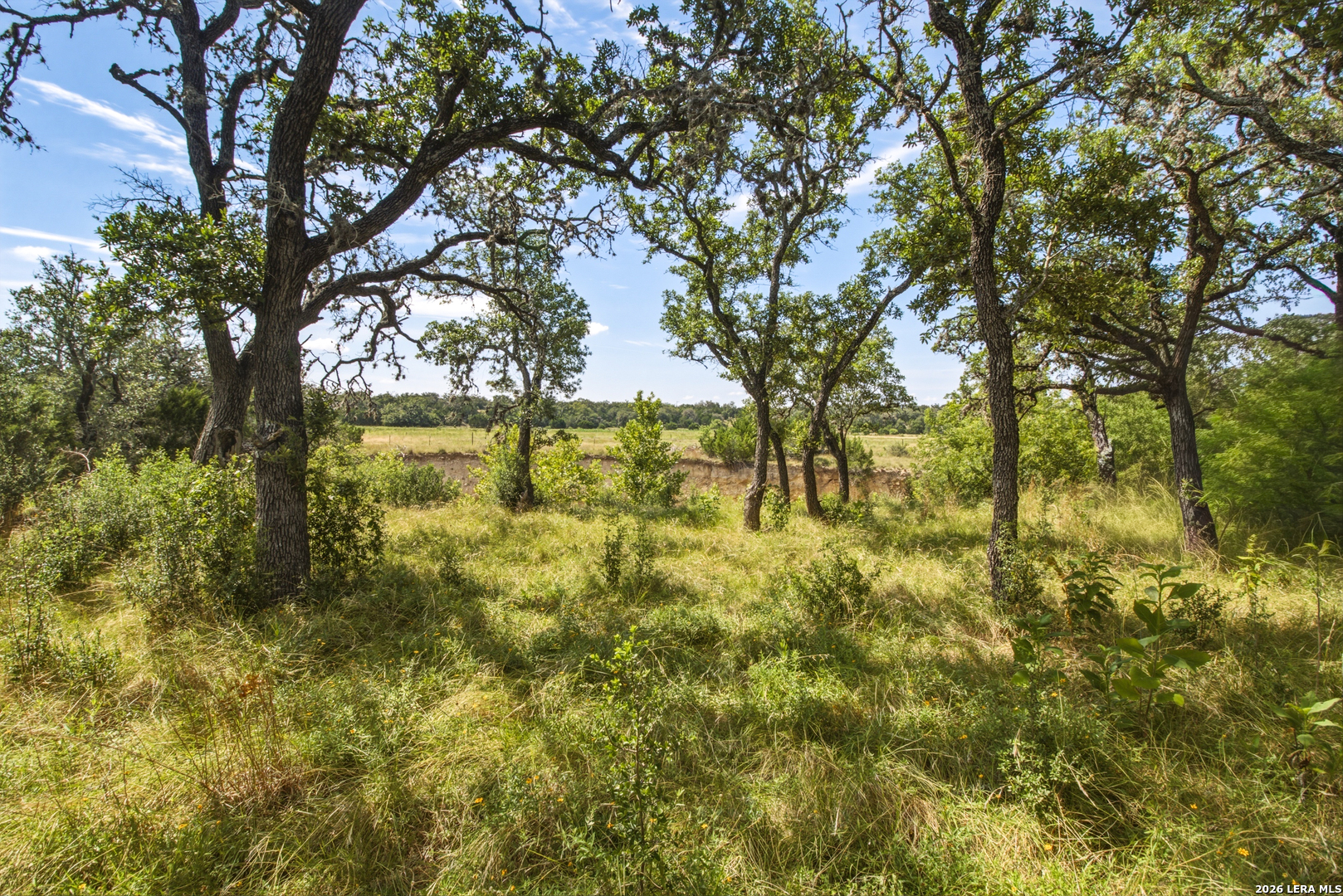 1256 Benton Creek Road Medina, TX 78055 - Photo 34 of 38