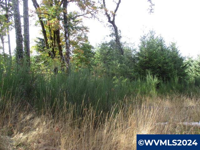 0 Northwest Crane (4) Road Yamhill, OR 97148 - Photo 6 of 12
