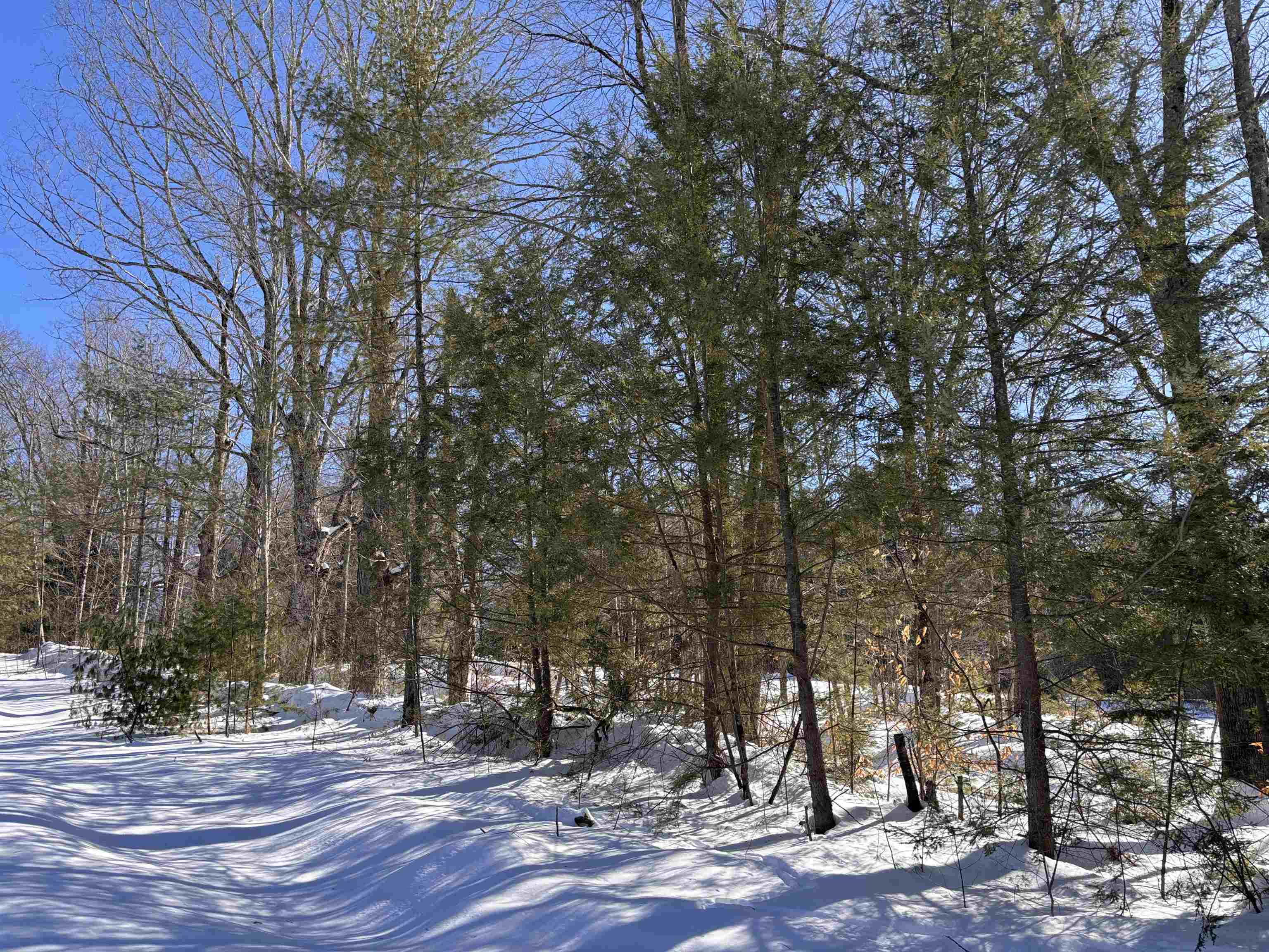 M409-l66 Old Turnpike Road Richmond, NH 03470 - Photo 5 of 13