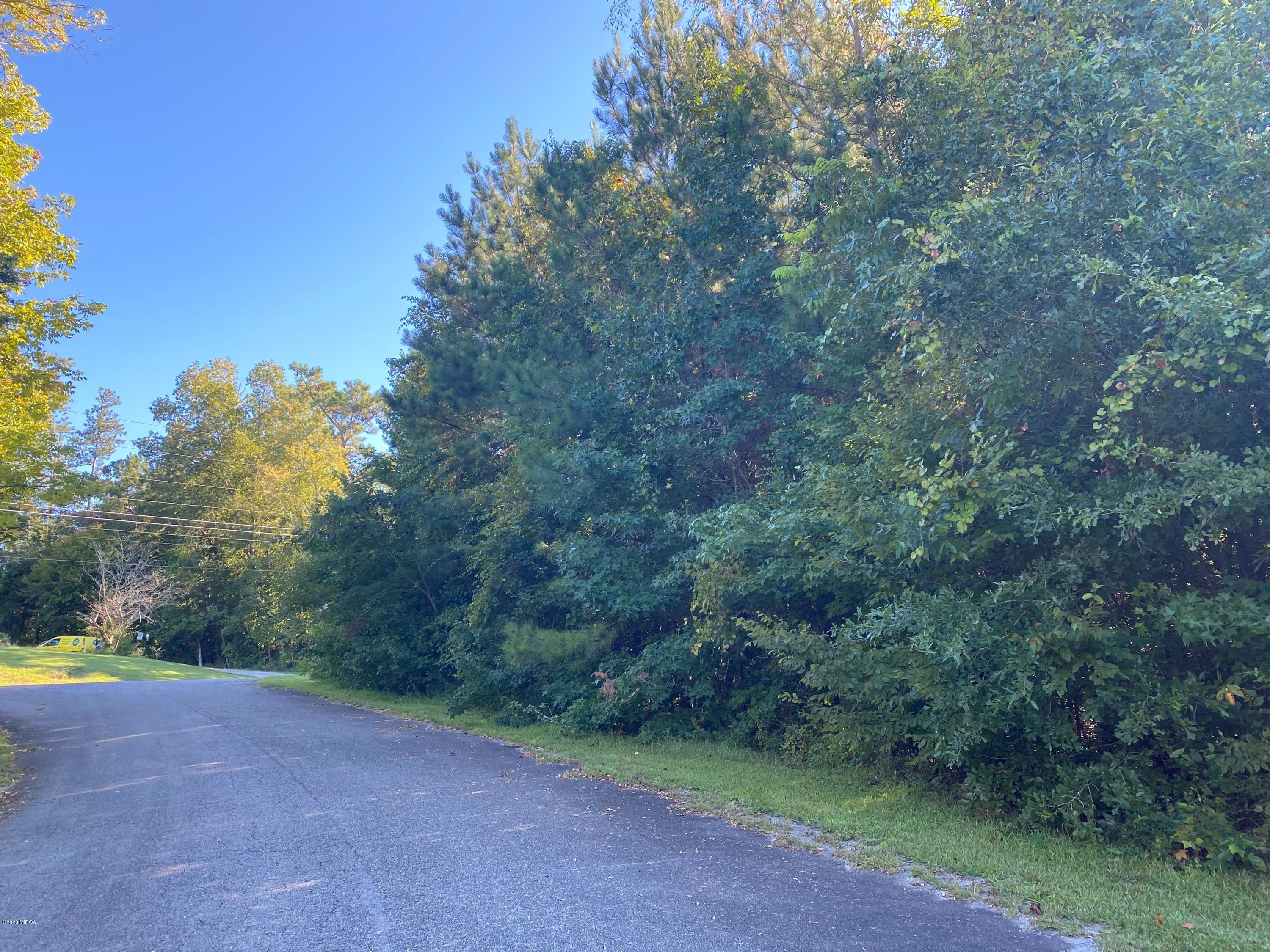 a view of a dirt road with trees in the background