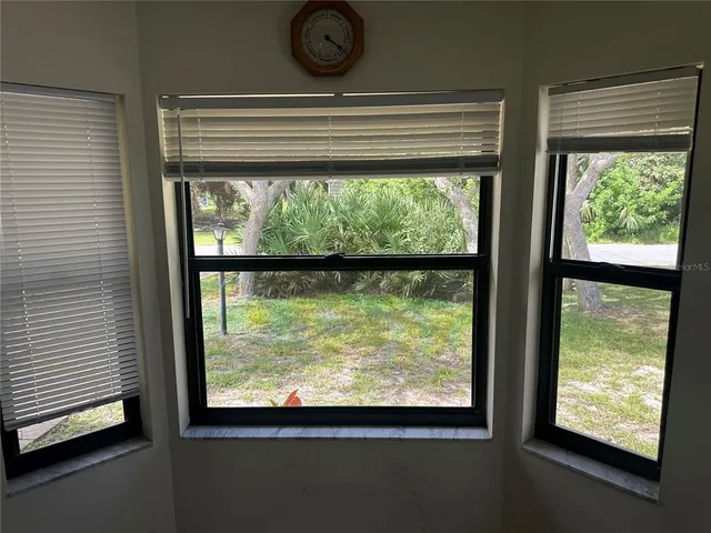 a view of a garden from a window